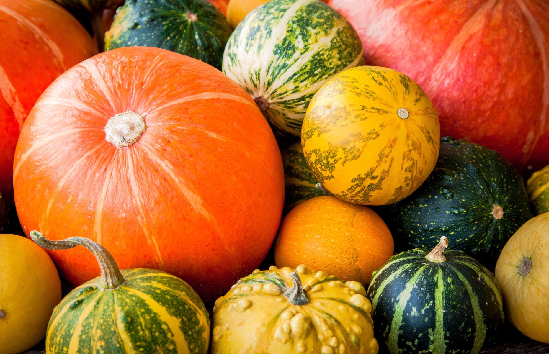 Choose seasonal